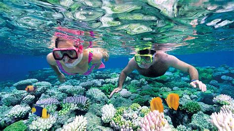 Half Day Sightseeing And Snorkelling Tour By Fiji Surf