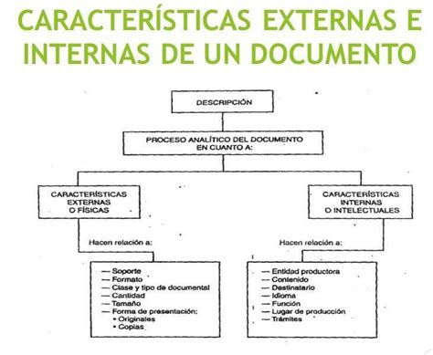 Cuadro Sinoptico Caracteristicas Externas E Internas Xili