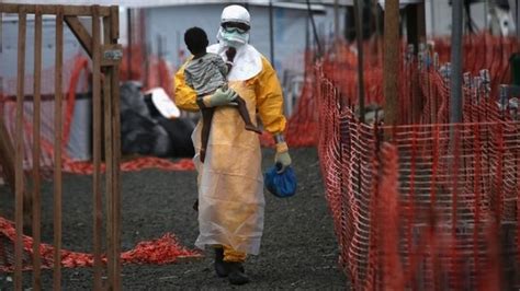 Ebola Outbreak Could Epidemic Infect 14m People Bbc News