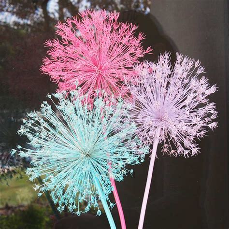 The vinegar kills the grass, while the salt prevents it from growing; Spray Painting Allium Flowers - Bulb Blog | Gardening Tips ...