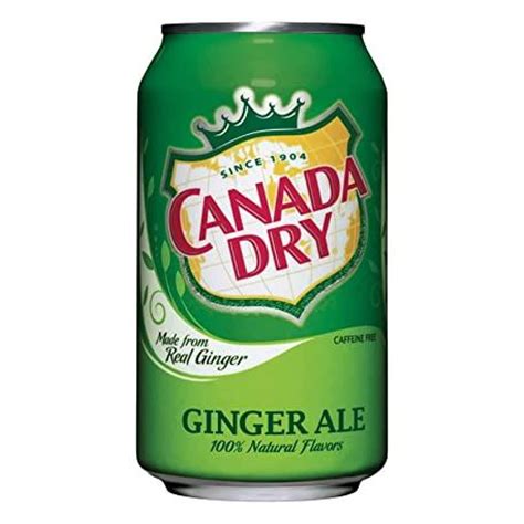 ginger beer vs ginger ale differences and similarities food fermented