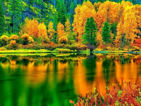 Breathtaking Autumn Colors Hd Desktop Wallpaper Widescreen High
