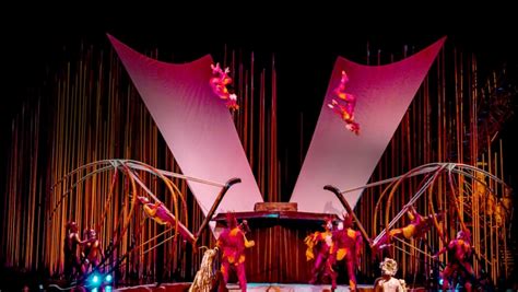 Video Varekai Le Nouveau Spectacle Du Cirque Du Soleil Est Au Zénith