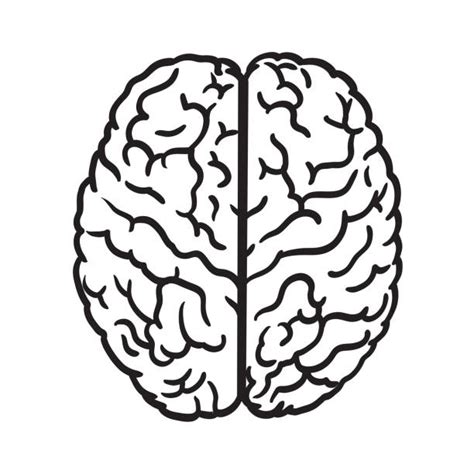 Download Royalty Free Brain Stencil Clip Art, Vector Images ...