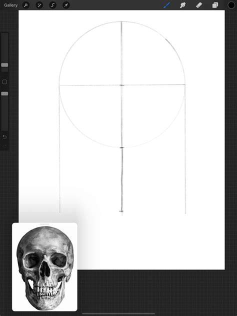 3 Easy Ways To Draw A Skull In Procreate Skull Drawing Sketches