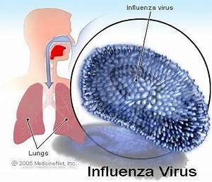 Flu Symptoms, Duration, Contagious Period, Flu Shot Side Effects, Treatment & COVID-19 Influenza  
