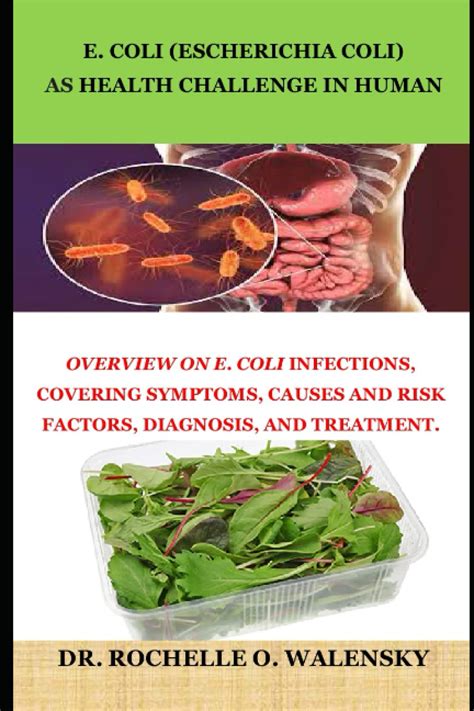 Buy E Coli Escherichia Coli As Challenge In Human Overview On E