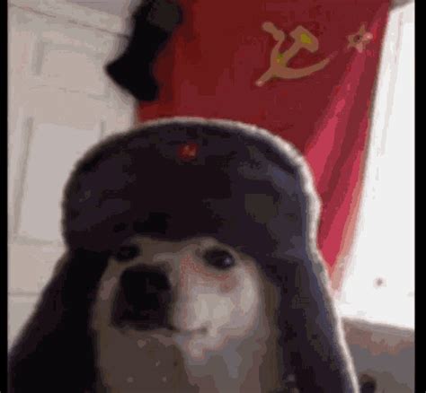 Soviet Doggo Communist  Soviet Doggo Communist Discover And Share S