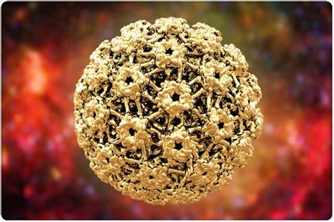 More than 200 distinct types have been identified; HPV Prevention