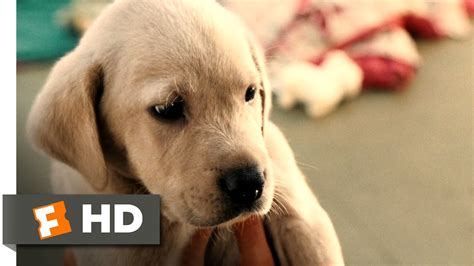 Kathleen turner, jennifer aniston, owen wilson and others. Marley & Me (1/5) Movie CLIP - Clearance Puppy (2008) HD ...