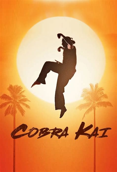 This first poster for cobra kai season 4 teases the big return of classic karate kid villain terry silver. Recap of "Cobra Kai" Season 1 | Recap Guide