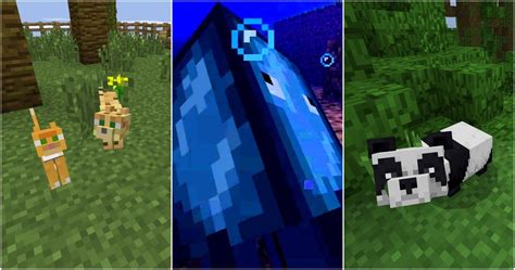 Minecraft The 15 Cutest Mobs Ranked