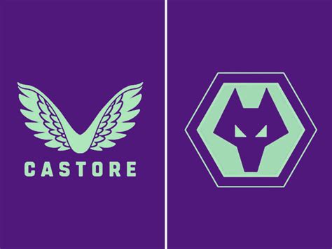 Wolves 3rd Kit 2024 - Clare Desirae