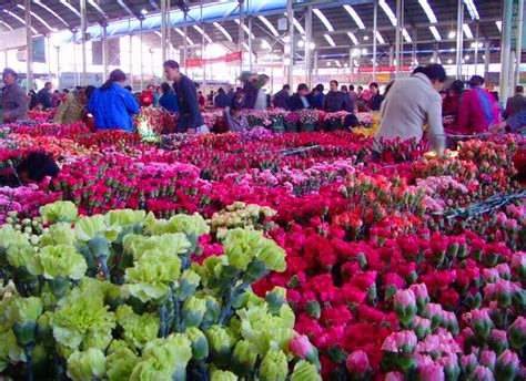 Flowers fish market, flowers fish restaurant sacramento, fried fish south sacramento ca. Kunming Flowers and Birds Market,Flowers and Birds Market ...