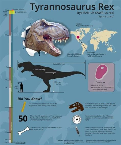 Tyrannosaurus Rex Fact Sheet And Infographic By Blue Skies Homeschool