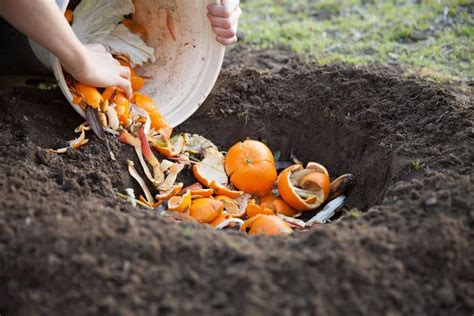 Trench Composting For Garden Success
