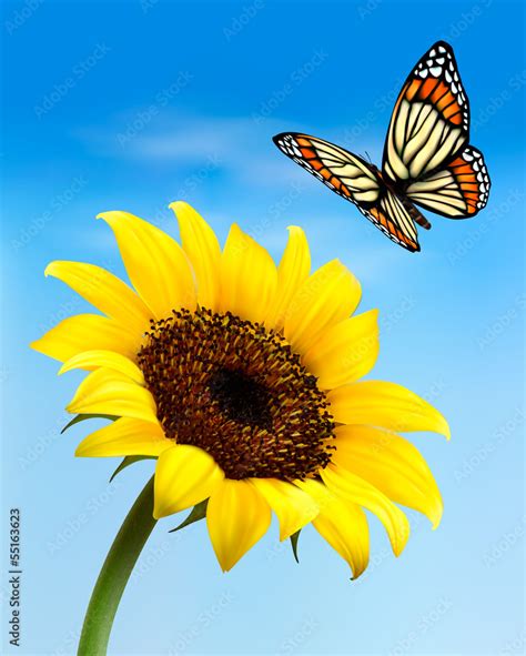 Nature Background With Sunflower And Butterfly Vector Illustrat Stock