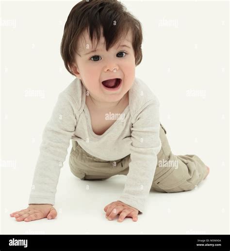 The Baby Learns To Crawl Isolated On White Background Stock Photo Alamy