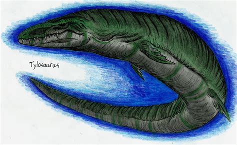 Tylosaurus By Monsterkingofkarmen On Deviantart