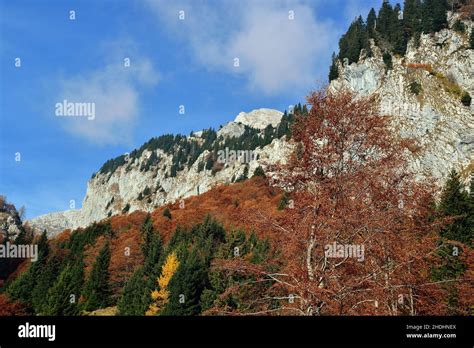 Friuli Venezia Giulia Italy Carnic Alps Autumn Colors Along The