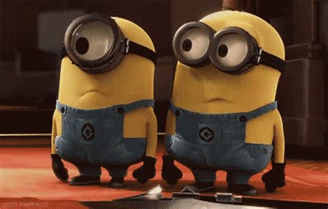 Despicable Me Animation  Find And Share On Giphy