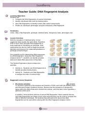 In this two part lecture. Student Exploration Building Dna Answer Key Quizlet + My ...