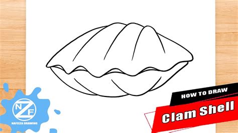 How To Draw Clam Shell Youtube