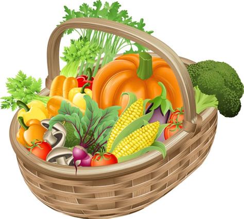 Graphic Design Vegetables Clip Art And Fresh Vegetables