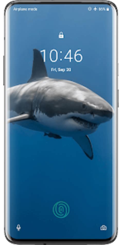 Shark Video Live Wallpaper для Android — Скачать