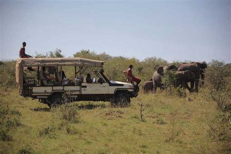 Nairobi 4 Day Maasai Mara And Lake Nakuru Camping Safari Getyourguide