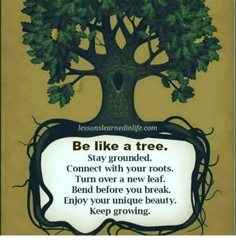 Lessons Learnedinlifecom Be Like A Tree Stay Grounded