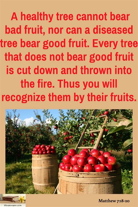 Finally, bear can mean to give birth to a child (when said of a person) or the produce fruit or flowers (when said of a plant or tree): Pin on Scriptures