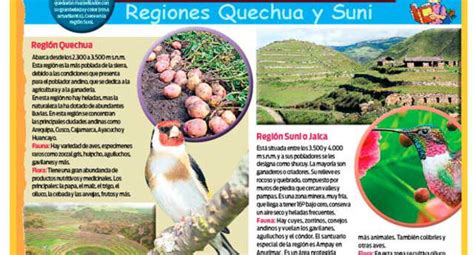 Las 8 Regiones Naturales Del Perú Regiones Quechua Y Suni El Popular