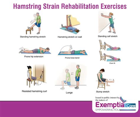Hamstring Strain Exercises