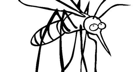 26+ Gambar Nyamuk Malaria Kartun - Kumpulan Kartun HD