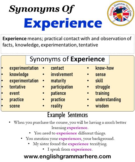 Synonyms Of Experience, Experience Synonyms Words List, Meaning and ...