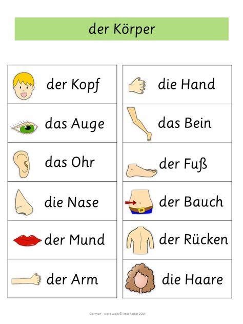 Körperteile Karten German Language Learn German German Language