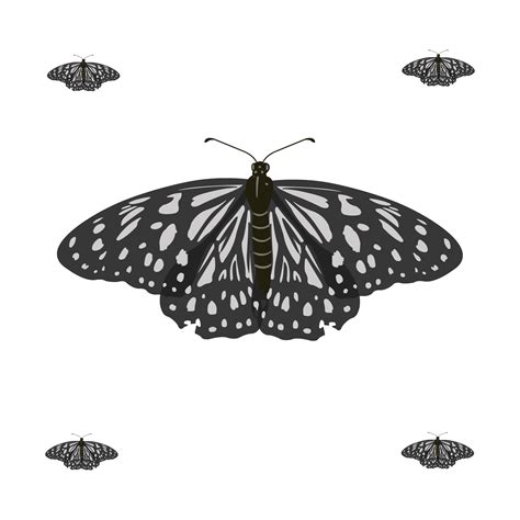 Realstic Flying Butterfly Vector Illustration 655384 Vector Art At Vecteezy