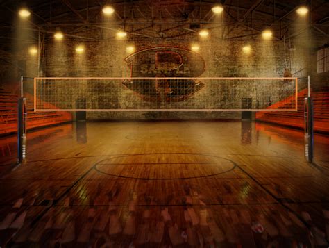 Court Volleyball Wallpaper
