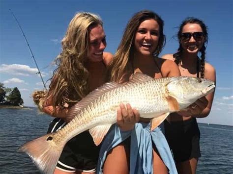 What Fish are Biting in Orange Beach, AL? [Fishing Seasons, Fishing Excursions, & MORE]