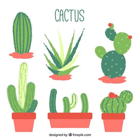 Flat Design Cactus Collection Vector Free Download