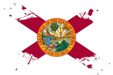 Vector Country Flag Of Florida Ink Splat Vector Countries Flags Of