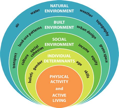 E Social Ecological Model Adapted For Physical Activity 24