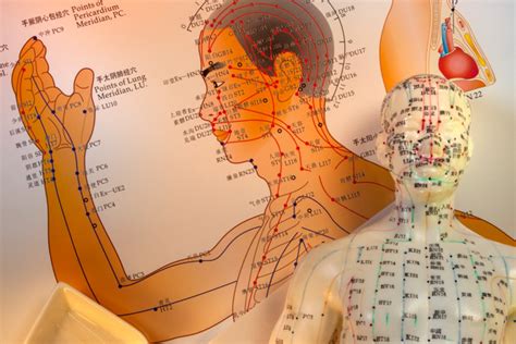 Meridians are called energy channels through which vital energy circulates between the organs. What Are Meridians And Are They Real: How Modern Science ...