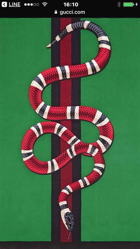 Gucci Snake Wallpapers On Wallpaperdog