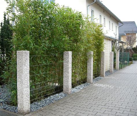 Meistens besteht die anforderung an blumen für den garten in einer zuverlässigen und möglichst langen blütezeit, damit viele verschiedene blüten die. Zaunbegrünung m. Kletterpflanzen - Auswahl, Kultur und ...