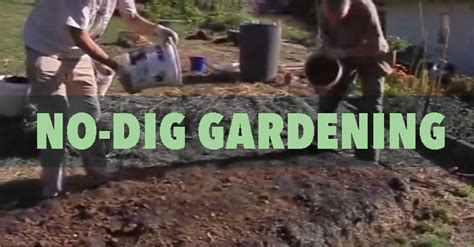 An Excellent No Dig Garden Demonstration The Survival Gardener