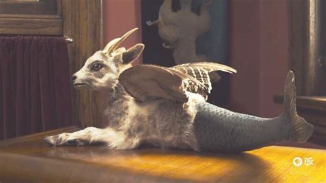 Learn About The Rogue Taxidermy Movement And See How One Artist Pushes