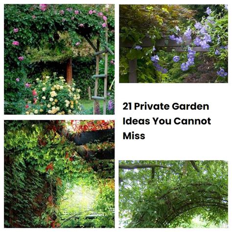 21 Private Garden Ideas You Cannot Miss SharonSable