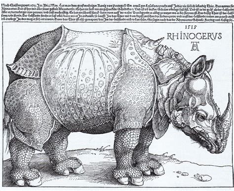 Zahlreiche gepanzerte platten überziehen ornamental den. File:Rhinocerus woodcut (1515) Albrecht Dürer.jpg ...
